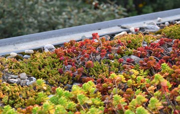 the cost of Great Wyrley green roof installation